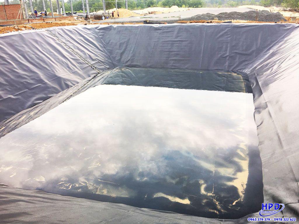 Bạt lót hồ tôm