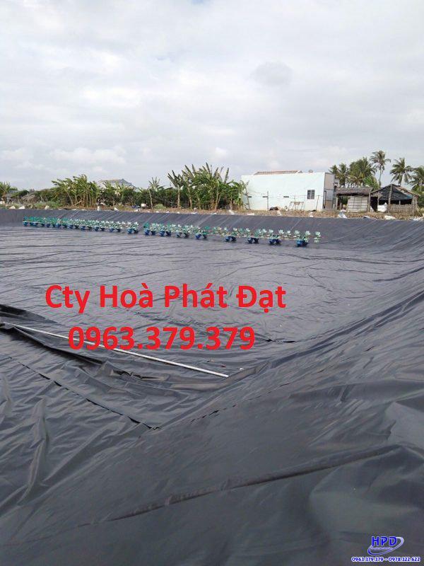 Bạt lót hồ Thái Bình