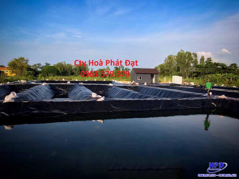 Bạt lót hồ Thanh Hóa