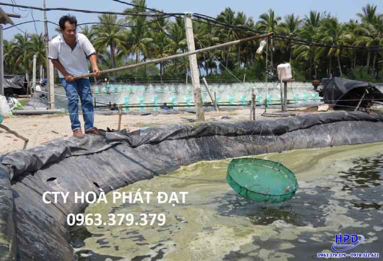 Bạt lót hồ Quảng Nam