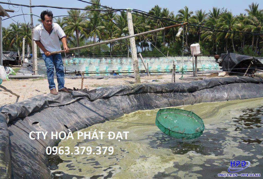 Bạt lót hồ Quảng Nam