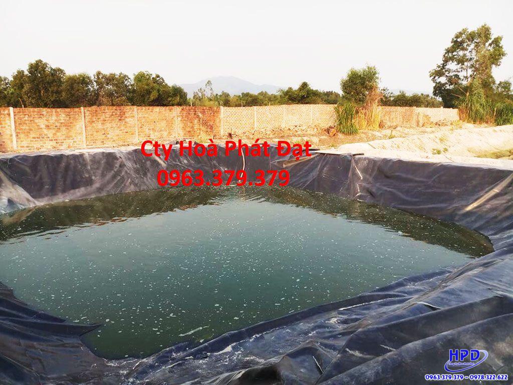 Bạt lót hồ Vĩnh Long