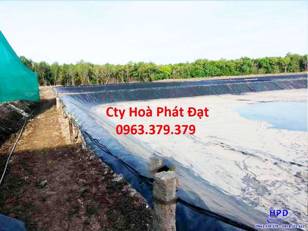 Bạt lót hồ Đồng Tháp