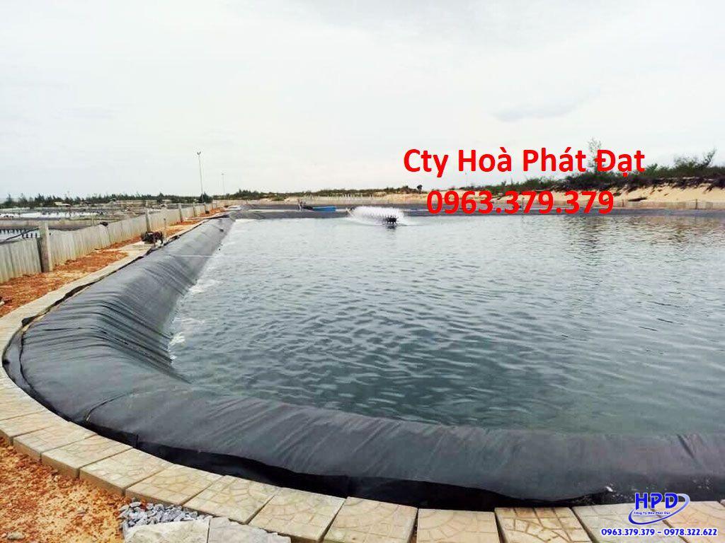 Bạt lót hồ Gia Lai