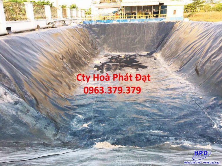Bạt lót hồ Hà Nam