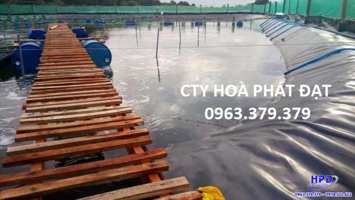 Bạt lót hồ Quảng Ngãi