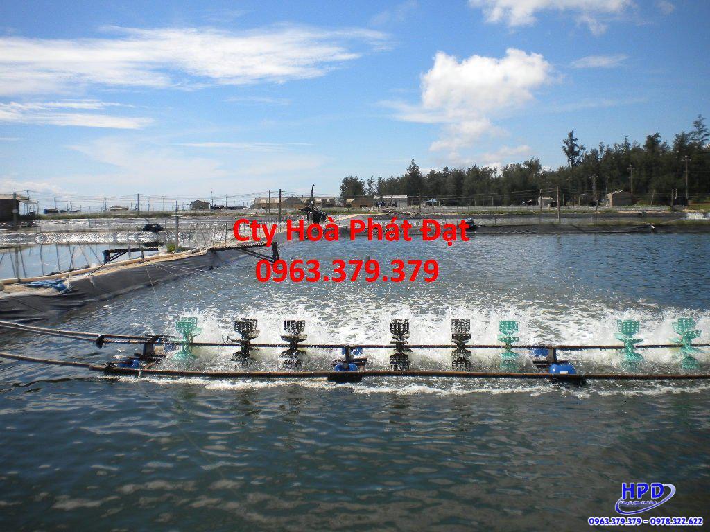 Bạt lót hồ Hà Tĩnh