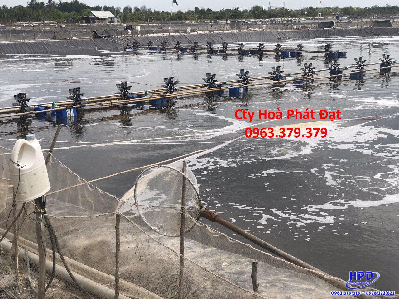 Bạt lót hồ Lai Châu