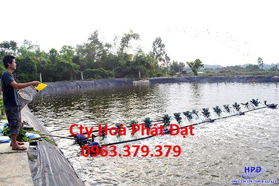 Bạt lót hồ Long An