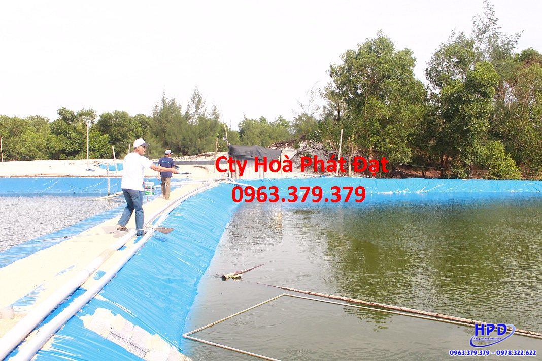 Bạt lót hồ Nam Định