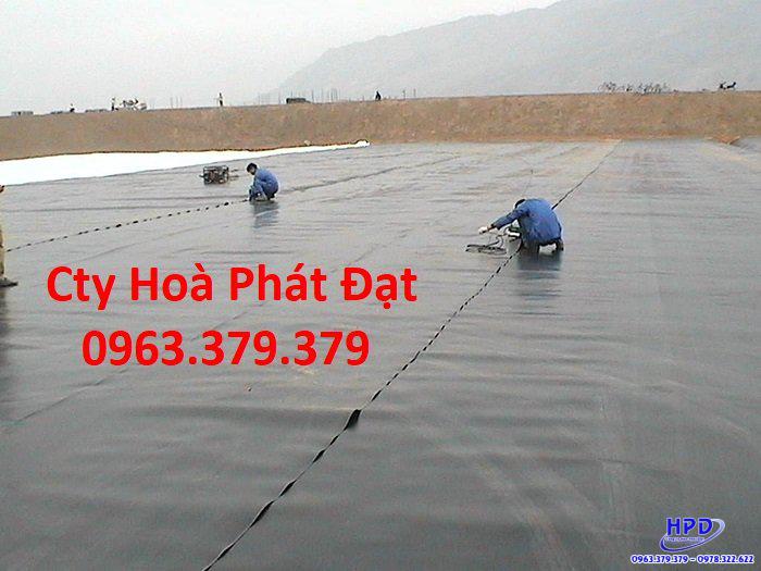 Bạt lót hồ Nghệ An
