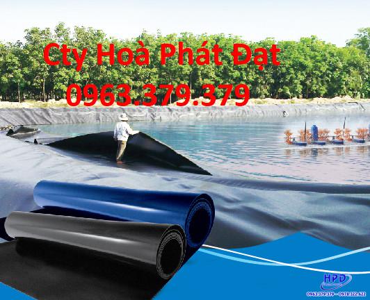 Bạt lót hồ Ninh Bình