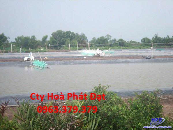 Bạt lót hồ Phú Thọ