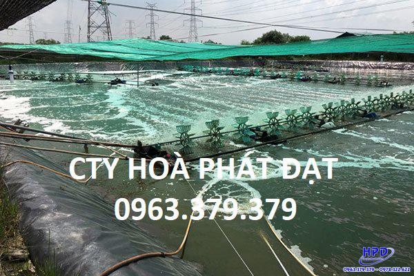 Bạt lót hồ Sóc Trăng