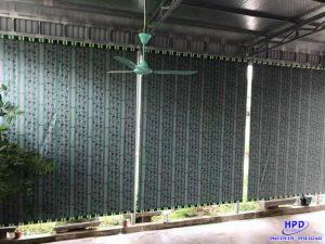 Bạt che tự cuốn Thừa Thiên Huế