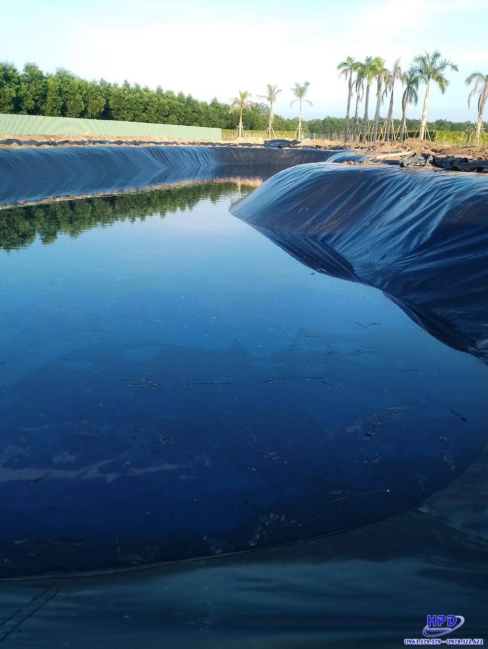 Bạt lót hồ cá HDPE