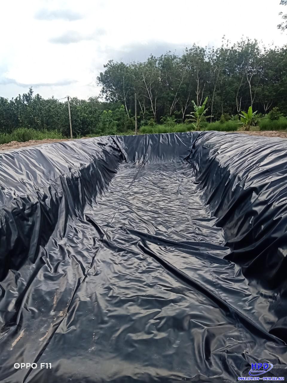 Hình ảnh : Bạt lót hồ cá HDPE có bán quyền của Hòa Phát Đạt - 0963.379.379