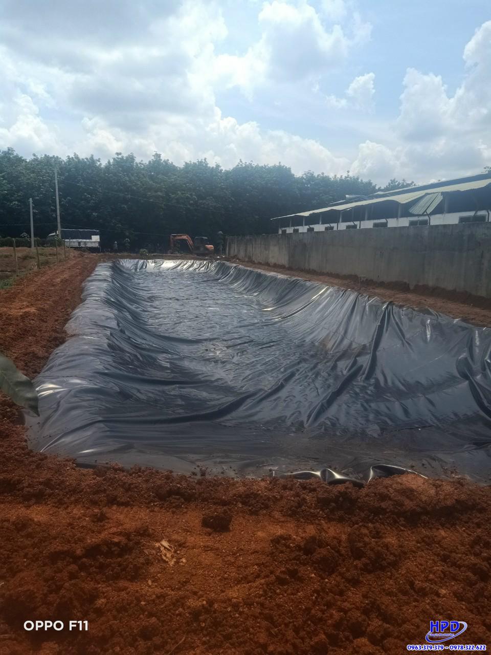 Hình ảnh : Bạt lót hồ cá HDPE có bán quyền của Hòa Phát Đạt - 0963.379.379