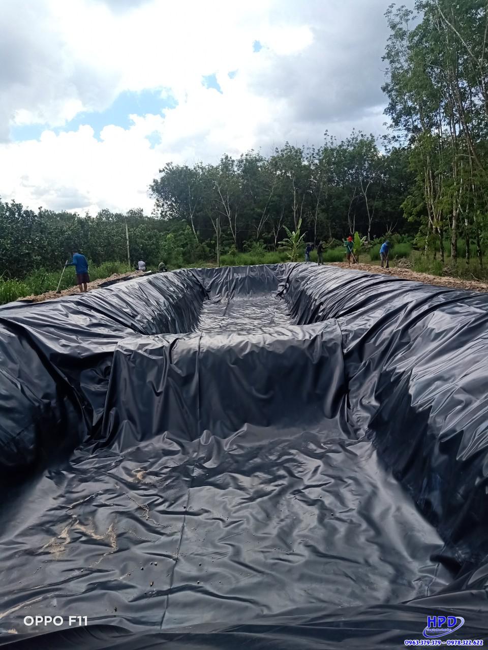 Bạt lót hồ cá HDPE