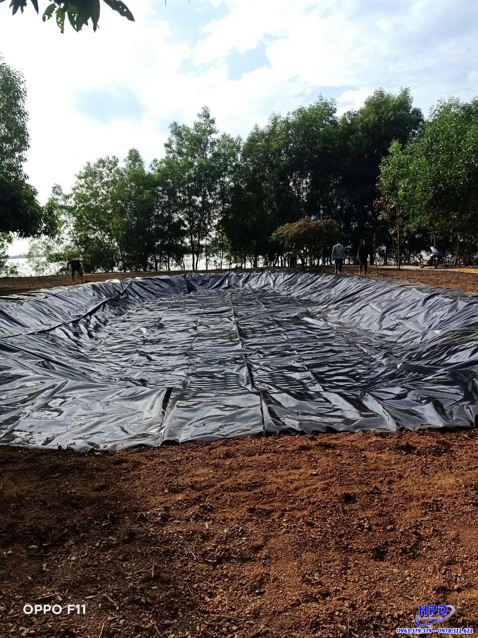 Bạt lót hồ cá HDPE