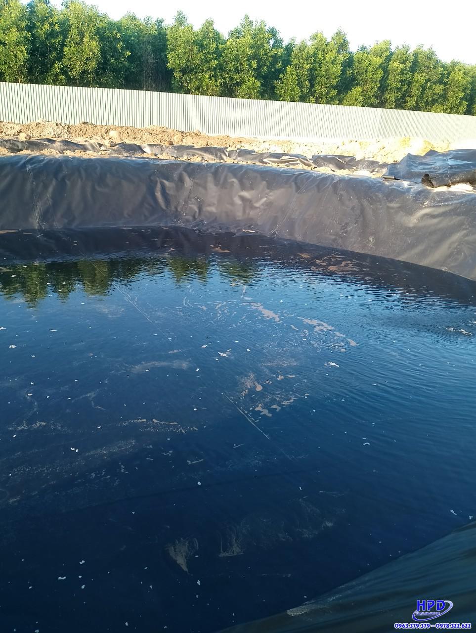 Hình ảnh : Bạt lót hồ cá HDPE có bán quyền của Hòa Phát Đạt - 0963.379.379