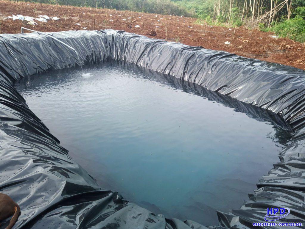 Bạt lót hồ cá HDPE