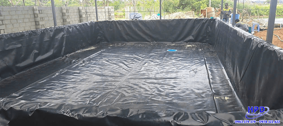 bat-HDPE-trong-mo-hinh-nuoi-luon