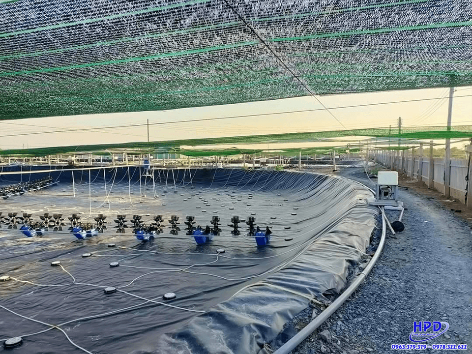 bat-lot-HDPE-nuoi-luon