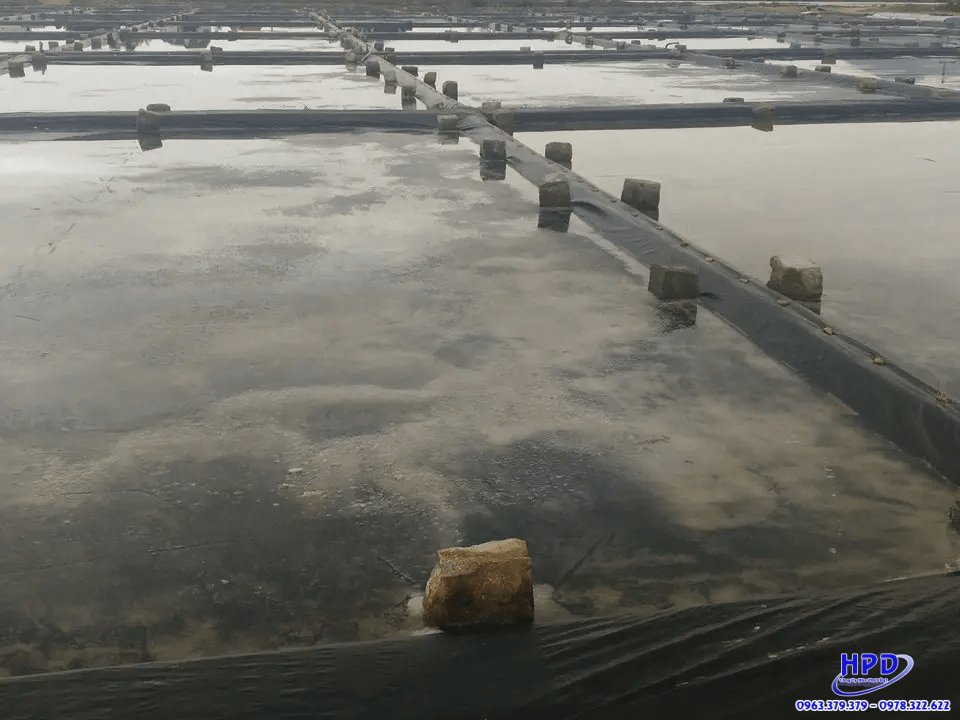 bat-lot-phu-ruong-muoi