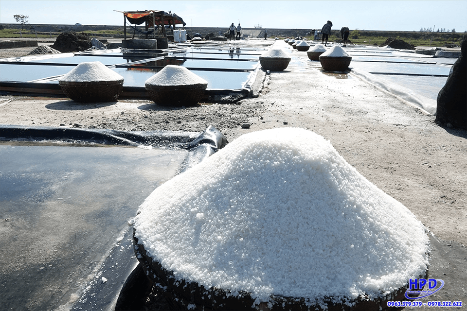 bat-lot-ung-dung-viec-lay-muoi