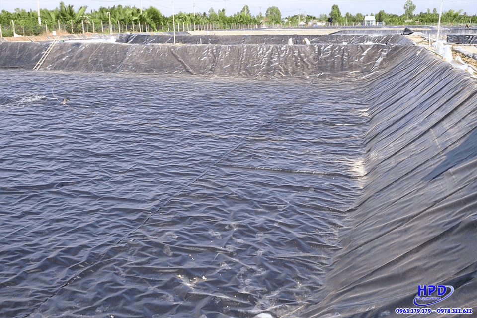 thi-cong-bat-lot-nuoi-tom