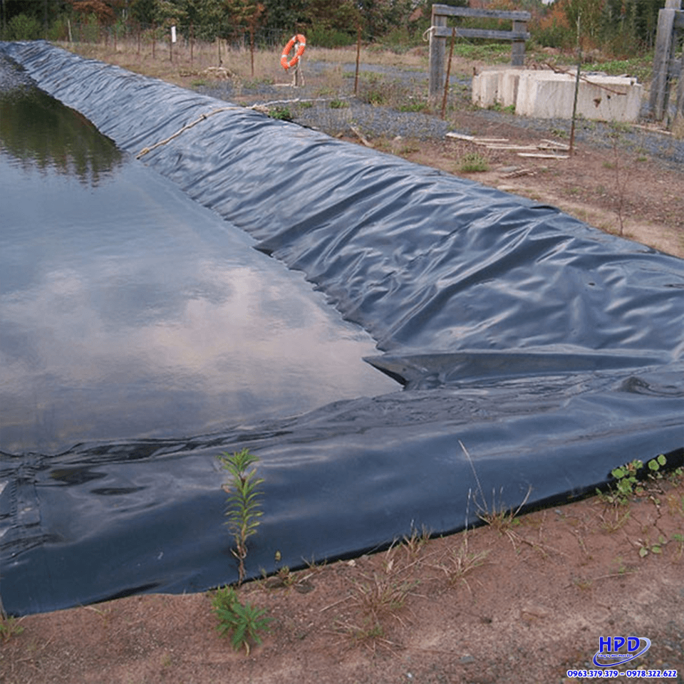 thi-cong-bat-lot-trong-bo-ao-nuoi-ca